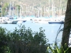 thumb_185_dscf7874.jpg