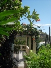 thumb_199_carib3patio33.jpg