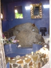 thumb_233_bathtub.jpg