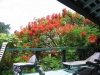 thumb_233_img0290.jpg