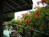 thumb_233_img0292.jpg