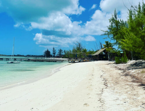 The natural beauty of Anegada